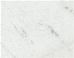 Polaris White Marble